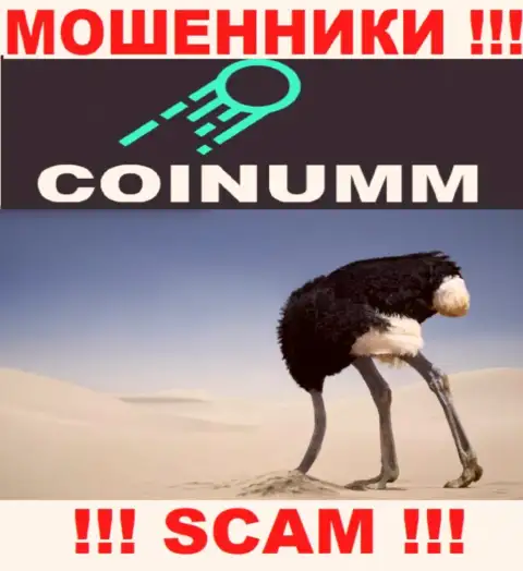 Компания Coinumm не имеет регулятора и лицензии на осуществление деятельности