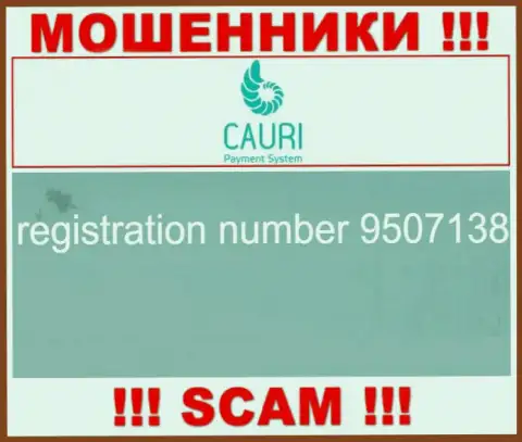 Номер регистрации, принадлежащий мошеннической компании Каури: 9507138