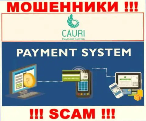 Мошенники Cauri Com, промышляя в области Payment system, оставляют без денег наивных клиентов