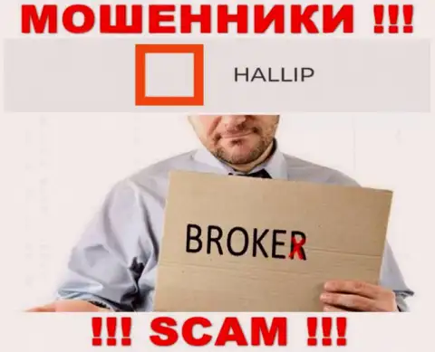 Сфера деятельности internet-мошенников Халлип Ком - это Broker, однако имейте ввиду это разводняк !