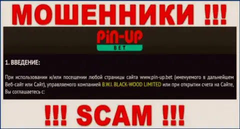 Юр. лицо компании Pin Up Bet - это B.W.I. BLACK-WOOD LIMITED, инфа позаимствована с официального сайта