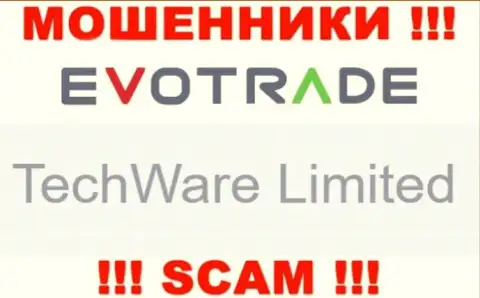 Юр лицом TechWare Limited считается - TechWare Limited