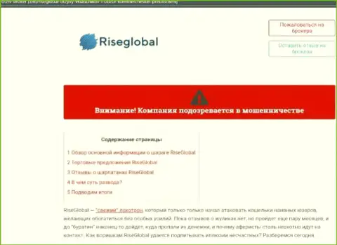 Подробно посмотрите условия совместной работы RiseGlobal, в конторе мошенничают (обзор)
