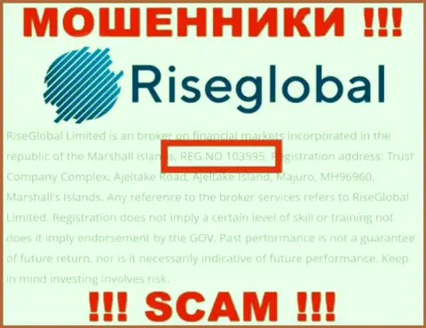Номер регистрации Rise Global, который мошенники показали у себя на интернет-странице: 103595