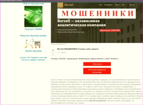 Обзор скам-организации Borsell Ru - это МОШЕННИКИ !!!