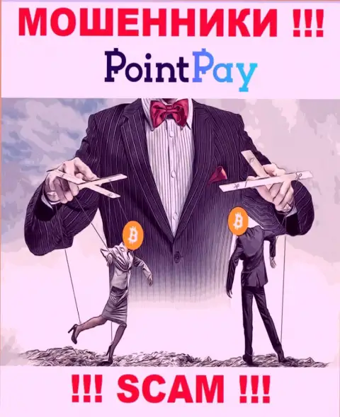 Если вдруг Вас уговорили иметь дело с компанией Point Pay LLC, то в таком случае скоро обведут вокруг пальца