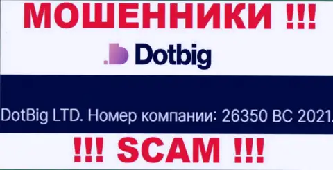 Номер регистрации разводил DotBig Com, расположенный ими на их сервисе: 26350 BC 2021