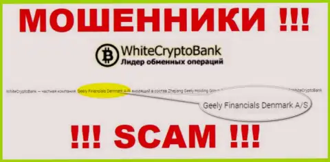 Юридическим лицом, владеющим кидалами WhiteCryptoBank, является Geely Financials Denmark A/S