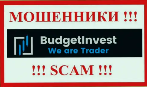 BudgetInvest Org это МОШЕННИКИ !!! Вложенные деньги назад не возвращают !!!
