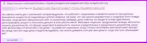Автор отзыва утверждает, что Budget Invest - это ШУЛЕРА ! Связываться с которыми слишком опасно