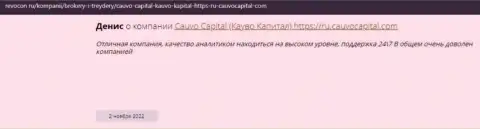 Компания Cauvo Capital описана в отзыве на сайте Ревокон Ру