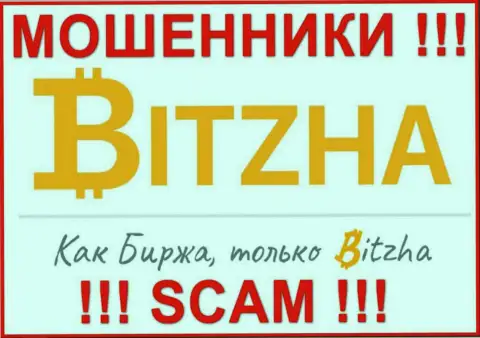 Bitzha24 Com - это МОШЕННИКИ ! Вложения не возвращают обратно !!!