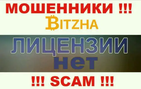 Мошенникам Битза24 не дали лицензию на осуществление деятельности - крадут вложения