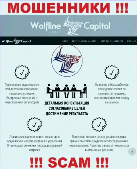 Не стоит верить, что область работы Wolfline Capital - Финансовый консалтинг законна - это надувательство