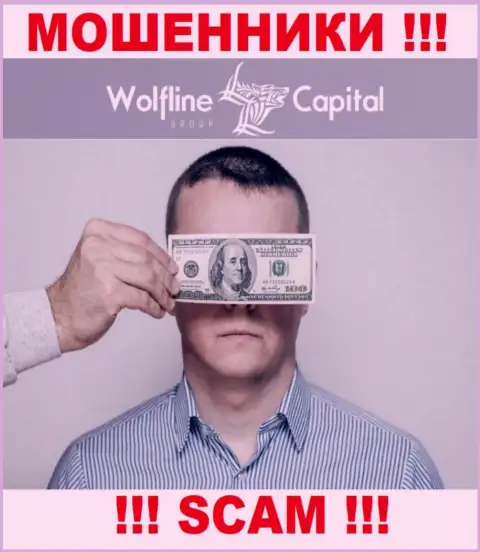Деятельность Wolfline Capital НЕЗАКОННА, ни регулятора, ни лицензии на право деятельности НЕТ