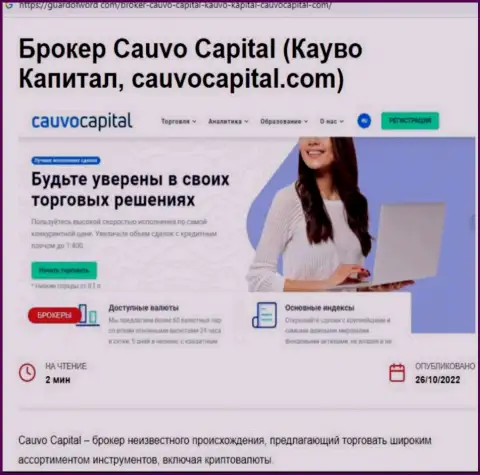 Cauvo Capital - это ШУЛЕРА и АФЕРИСТЫ !!! Дурачат и крадут денежные активы (обзор)