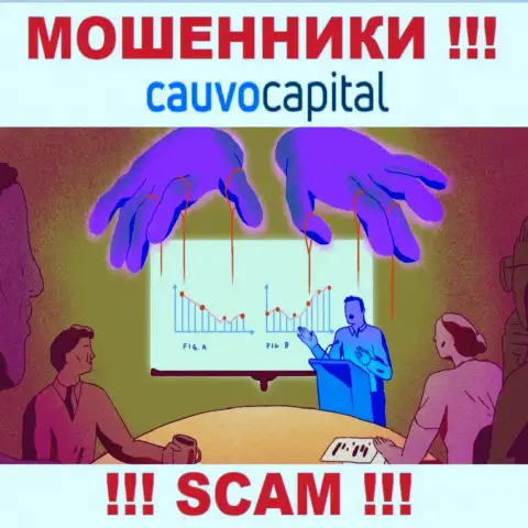 Опасно соглашаться сотрудничать с internet-мошенниками CauvoCapital, присваивают денежные средства