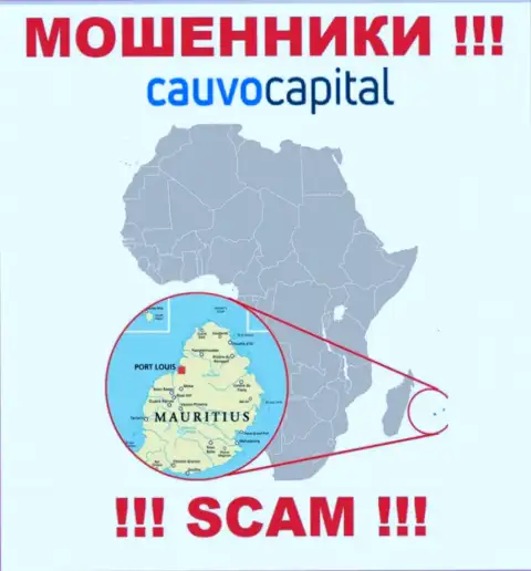 Организация КаувоКапитал Ком похищает вложенные деньги наивных людей, расположившись в оффшорной зоне - Mauritius