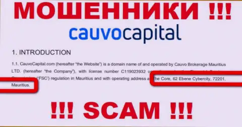 Нереально забрать вложенные деньги у конторы Cauvo Capital - они отсиживаются в офшоре по адресу The Core, 62 Ebene Cybercity, 72201, Mauritius
