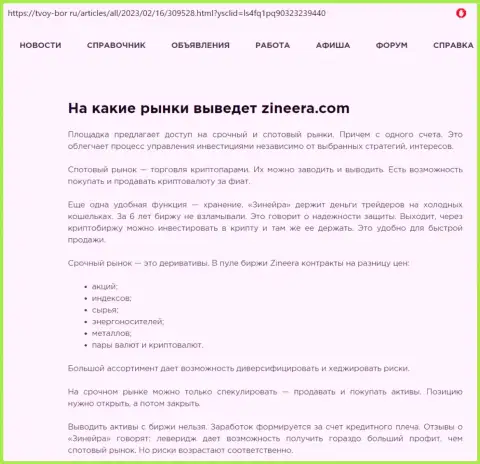 Информационная статья о широком перечне торговых инструментов дилера Зиннейра, выложенная на онлайн-ресурсе tvoy-bor ru