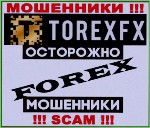Область деятельности TorexFX: FOREX - хороший доход для internet мошенников