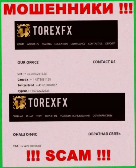 В арсенале у шулеров из компании TorexFX Com припасен не один номер